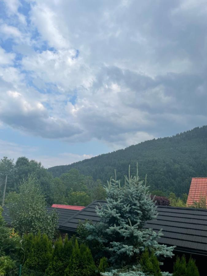 Apartament Na Gorce, Sauna & Jacuzzi Щирк Екстер'єр фото
